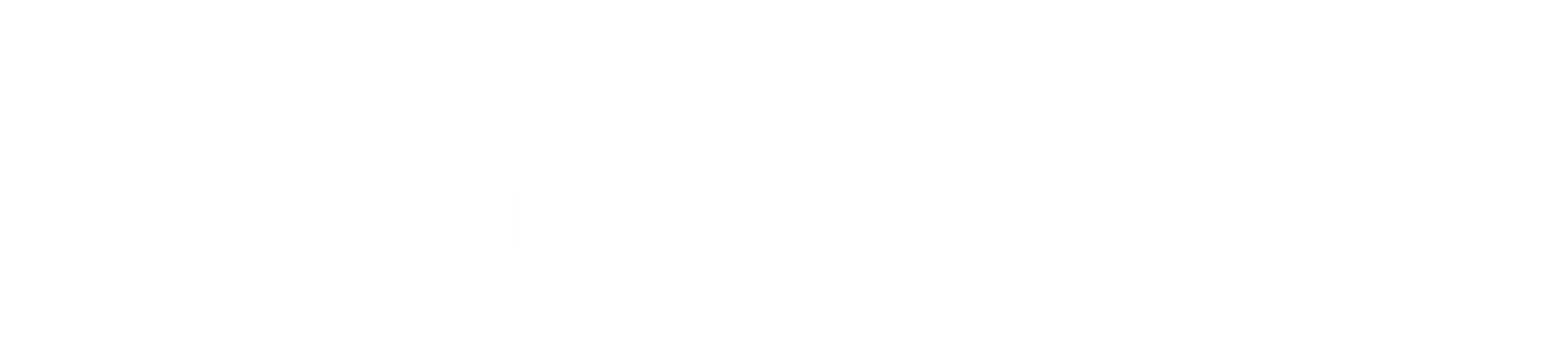 wisdm